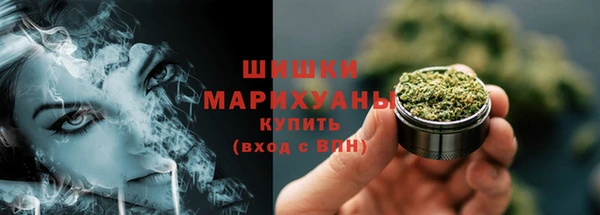 дживик Горняк