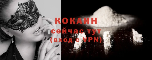 дживик Горняк
