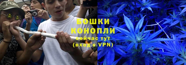дживик Горняк