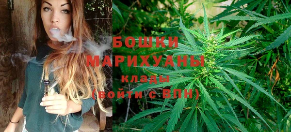 Альфа ПВП Горнозаводск