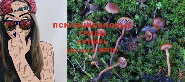 Альфа ПВП Горнозаводск