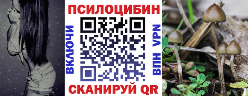 Псилоцибиновые грибы Magic Shrooms  Невинномысск 